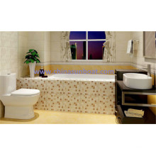 Sunboat Embedded Cast Iron Bathtub with Handrail Oordinary, Household Bathtub/ Enamel Bathtub